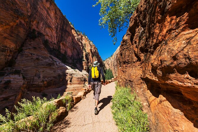 Zion National Park Self-Guided Driving & Shuttling Tour - Technical Requirements and Compatibility