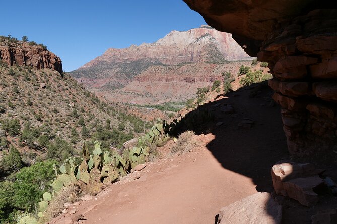 Zion National Park Small Group Tour From Las Vegas - Scenic Drive