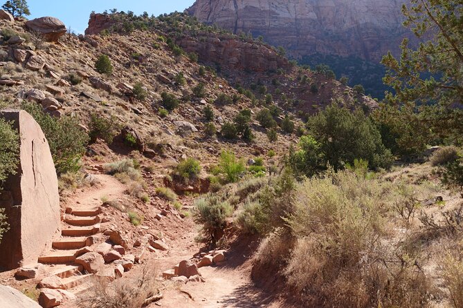 Zion National Park Small Group Tour From Las Vegas - Mobility Considerations