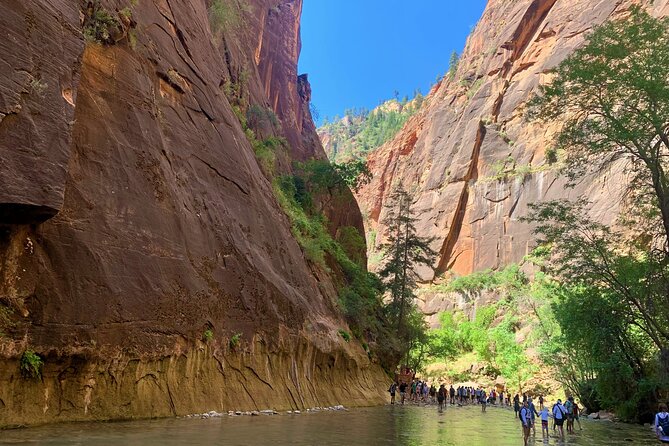 Zion National Park Small Group Tour From Las Vegas - Customer Reviews