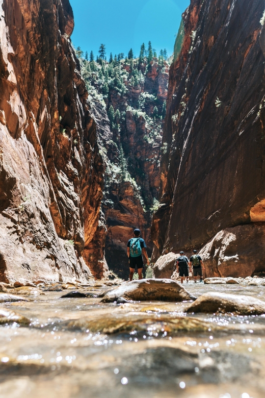 Zion National Park: Zion Full-Day Tour & Hike - Transportation and Amenities