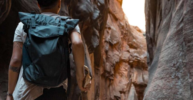 Zion National Park: Zion Full-Day Tour & Hike - Guided Tour Features