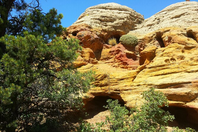 Zion UTV Morning Tour - Suitability and Requirements
