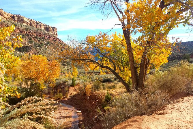 Zion UTV Morning Tour - Accessing Backcountry Trails