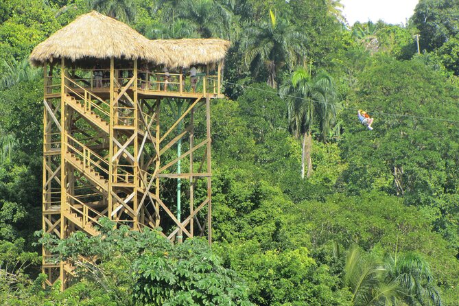 Zip Line Adventure From Punta Cana (Half Day) - Customer Feedback