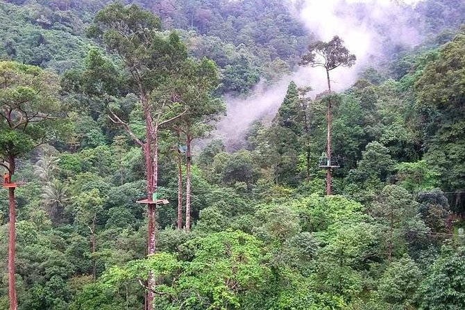 Zip Line Adventure on Mountain (8 Platforms 1200 M.) - Nearby Cozy Café