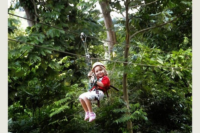 Zip Line - Half Day Adventure - Safety Precautions and Requirements