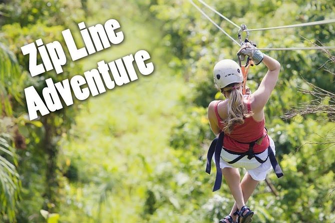 Zip Line - Half Day Adventure - Traveler Reviews and Feedback