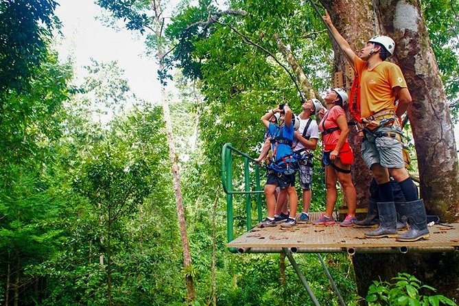 Zip Line - Half Day Adventure - Highlights of the Zipline Experience