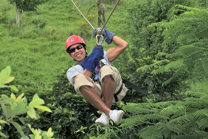 Zip Line - Half Day Adventure - Professional Guide Support and Assistance