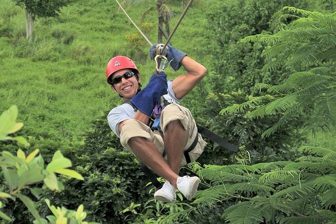 Zip Line - Half Day Trip - Positive Reviews and Ratings