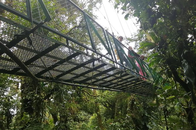 Zip Line, Hot Springs, Horses and More Aventure. - Pricing and Booking