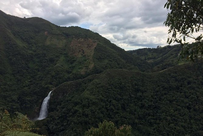 Zip Line Medellin - Dining Options and Recommendations