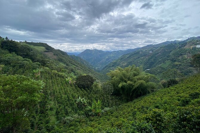 Zip Line Medellin - Booking and Cancellation Policies