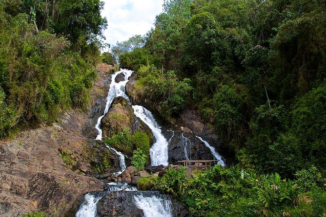 Zip Line Medellin - Traveler Reviews and Ratings