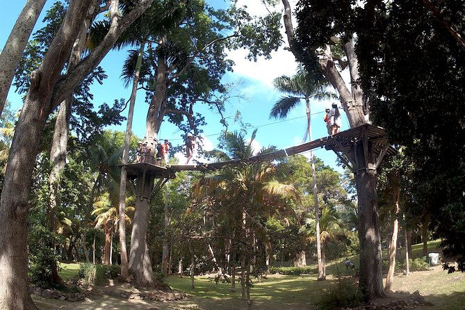 Zip Line Over the Dunns River Falls - Location and Accessibility