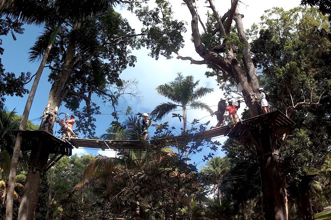 Zip Line Over the Dunns River Falls - Customer Experiences and Feedback