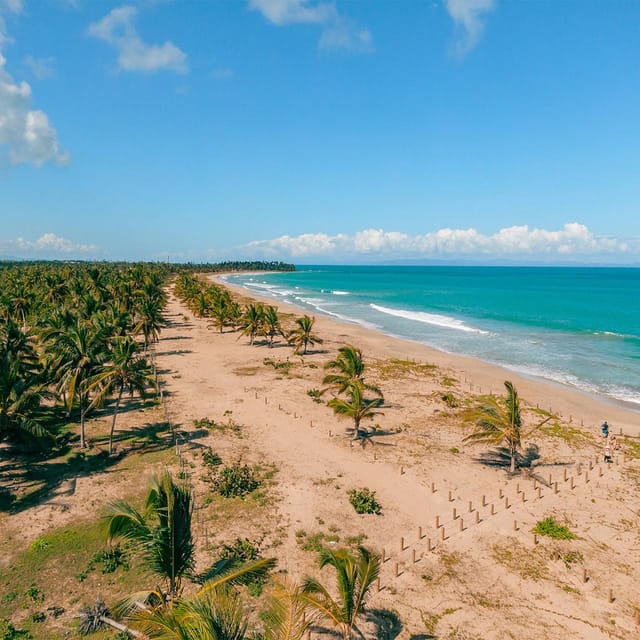 Zip Line Playa Esmeralda With Redonda Mountain - Tour Inclusions