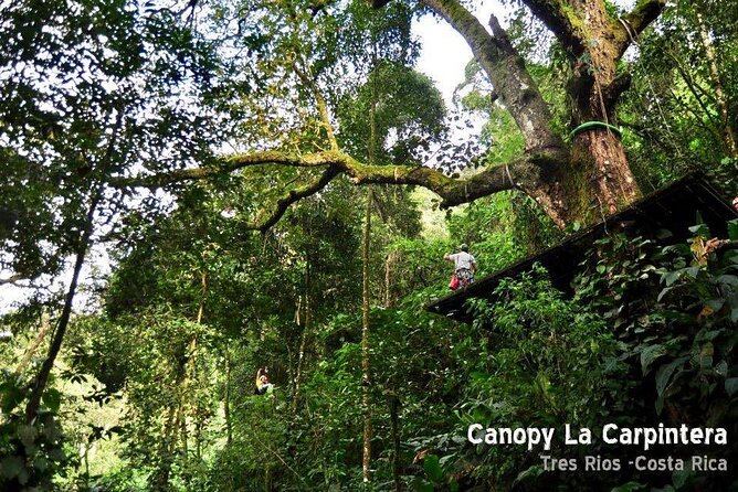 Zip Line, Rappel, Hiking La Carpintera Tour in San Jose - Inclusions and Policies
