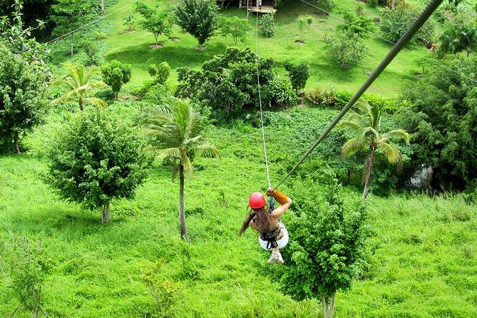 Zip Lines Samana and Limon Waterfall - About Your Stay