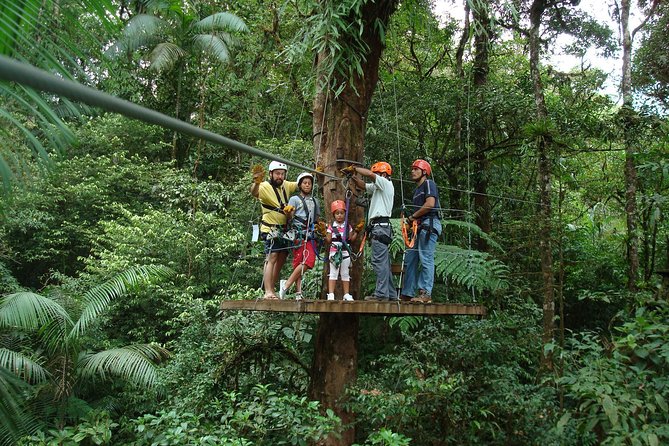Zip Lining Adventure From San José - Key Points