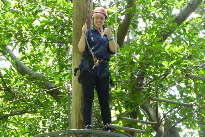 Zip Lining and Canopy Tree Tour in Rio De Janeiro - Key Points