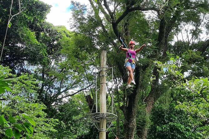 Zip Lining and Canopy Tree Tour in Rio De Janeiro - Canopy Tree Circuit