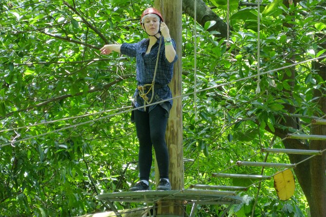 Zip Lining and Canopy Tree Tour in Rio De Janeiro - Ziplining Adventure