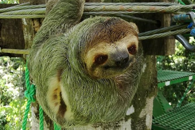 Zip Lining, Rappel and a Tarzan Swing - Meeting and Pickup