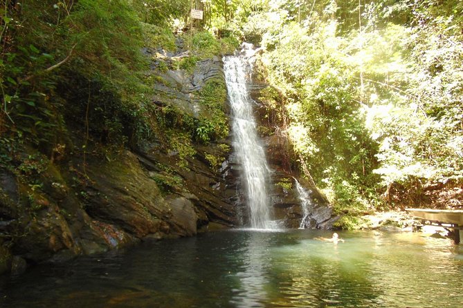 Zip Lining + River Tubing +Waterfall 30 Minutes Away - Zip Lining Experience