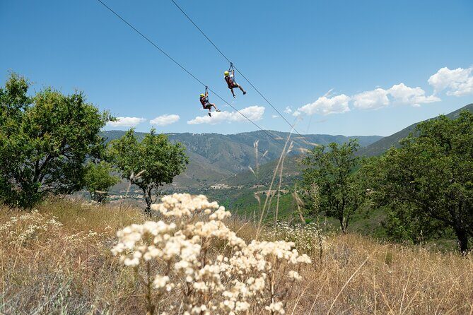 Zip Zoom Ziplines at La Jolla Indian Adventure Park - Authentic Feedback from Visitors