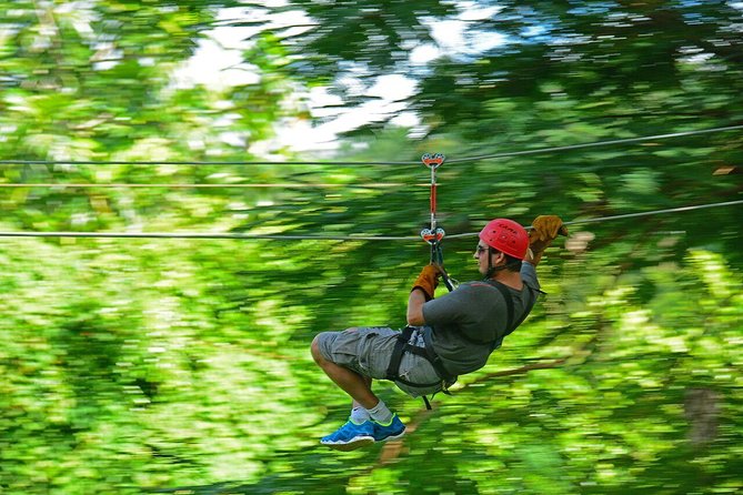 Zipline Adventure From La Romana - Activity Highlights