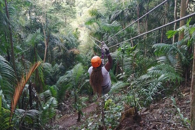 Zipline Adventure In The Rainforest - Pricing and Inclusions