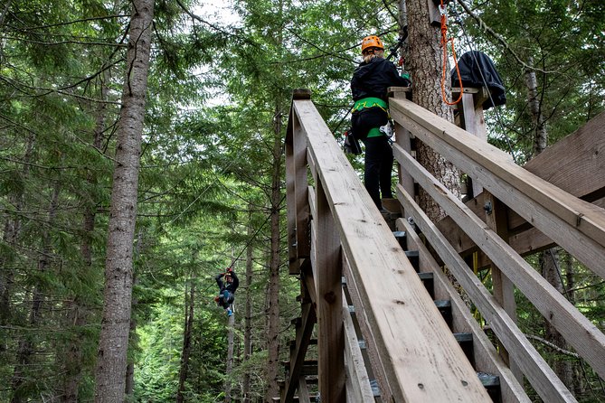 Zipline Adventure in Whistler - Requirements and Restrictions