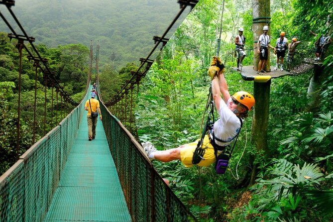 Zipline Adventure & Rainforest Hanging Bridges-Skywalk - Key Points