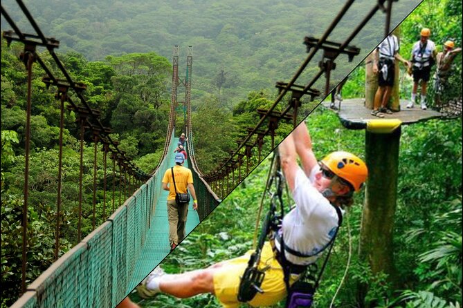 Zipline Adventure & Rainforest Hanging Bridges-Skywalk - Zipline Adventure