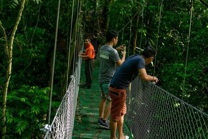 Zipline Adventure & Rainforest Hanging Bridges-Skywalk - Hanging Bridges Experience