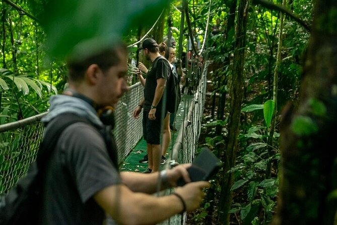 Zipline Adventure & Rainforest Hanging Bridges-Skywalk - Tour Highlights