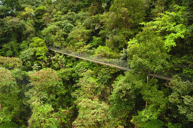 Zipline Adventure San Luis From San José - Safety and Fitness Requirements