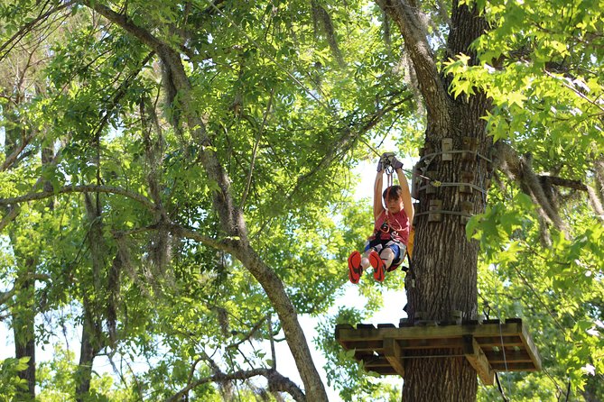 Zipline Adventure Through Tuscawilla Park - Adventure Trail Highlights