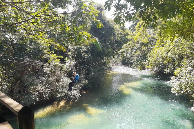 Zipline and Altun Ha From Belize City - Booking Details