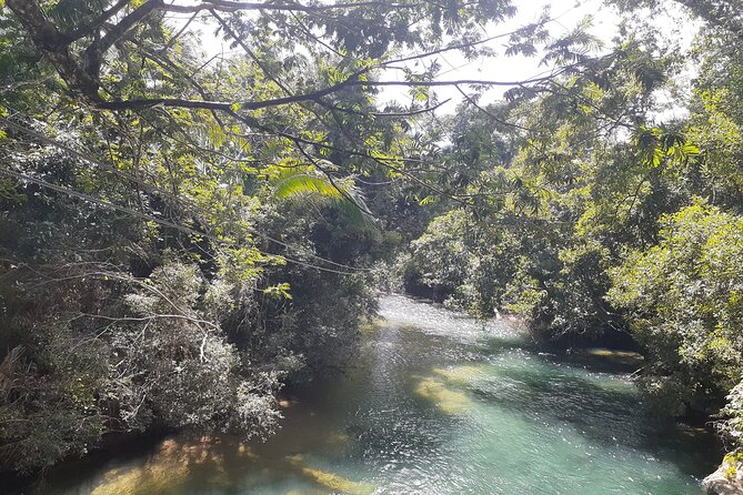 Zipline and Altun Ha From Belize City - Highlights of the Tour
