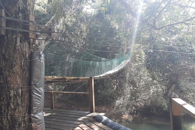 Zipline and Altun Ha From Belize City - Belizean Culinary Experience