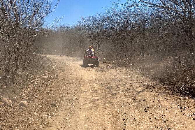 Zipline and ATV Combo Tour From Mazatlán - Local Attractions