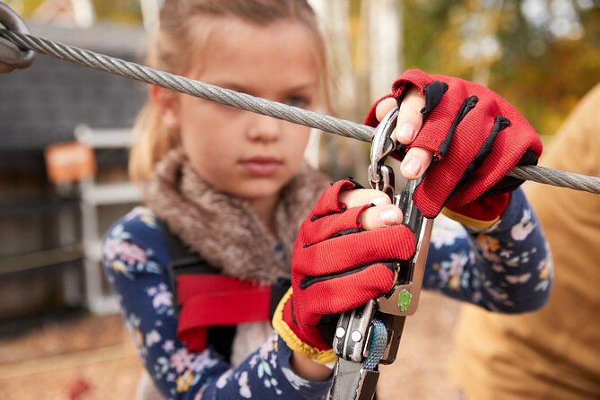 Zipline and Climb in a Forest on Lake Superiors North Shore - Essential Amenities Provided
