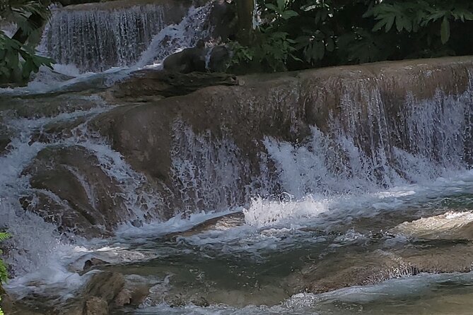 Zipline and Dunns River Falls Combo With Lunch From Montego Bay - About Your Stay