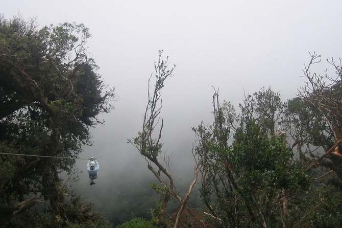 Zipline and Hanging Bridges Combo Tour in Monteverde Cloud Forest - Exploring the Cloud Forest