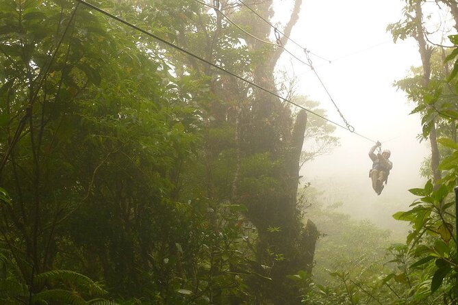 Zipline and Hanging Bridges Combo Tour in Monteverde Cloud Forest - Customer Feedback and Recommendations