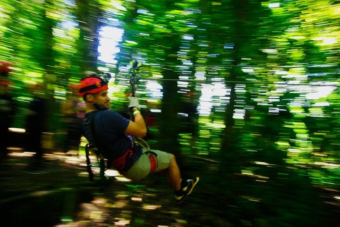 Zipline and Rappelling in Monteverde - Exploring Monteverdes Lush Canopy