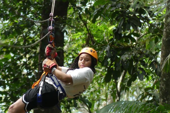 Zipline and Sloth Sanctuary Private Tour - Tour Overview